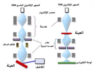 تحليل TEM (المجهر الإلكتروني النافذ) 