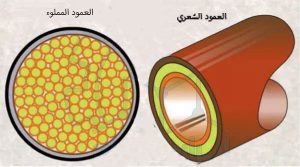 المعرفة الأساسية لتحليل GC-MS