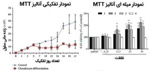 mtt test results