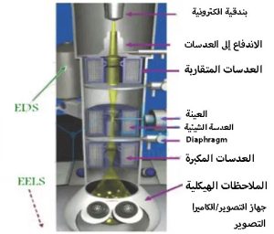 تحليل TEM (المجهر الإلكتروني النافذ) 