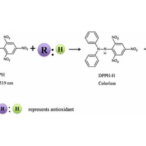 تحليل antioxidant activity