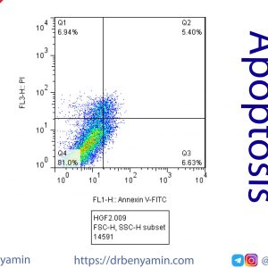 تحليل Cell Apoptosis