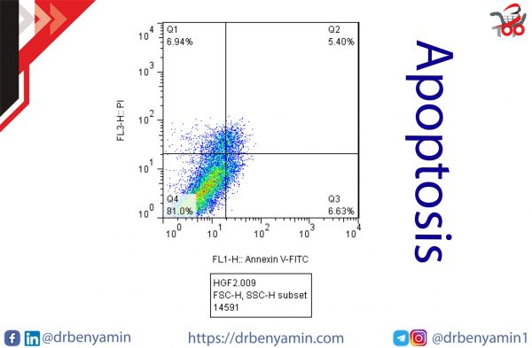 تحليل Cell Apoptosis