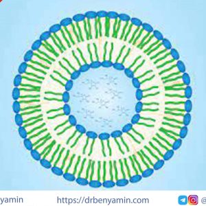 تحليل Drug encapsulation in nanoliposome