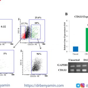 تحليل Flow cytometry