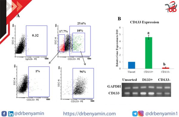 تحليل Flow cytometry