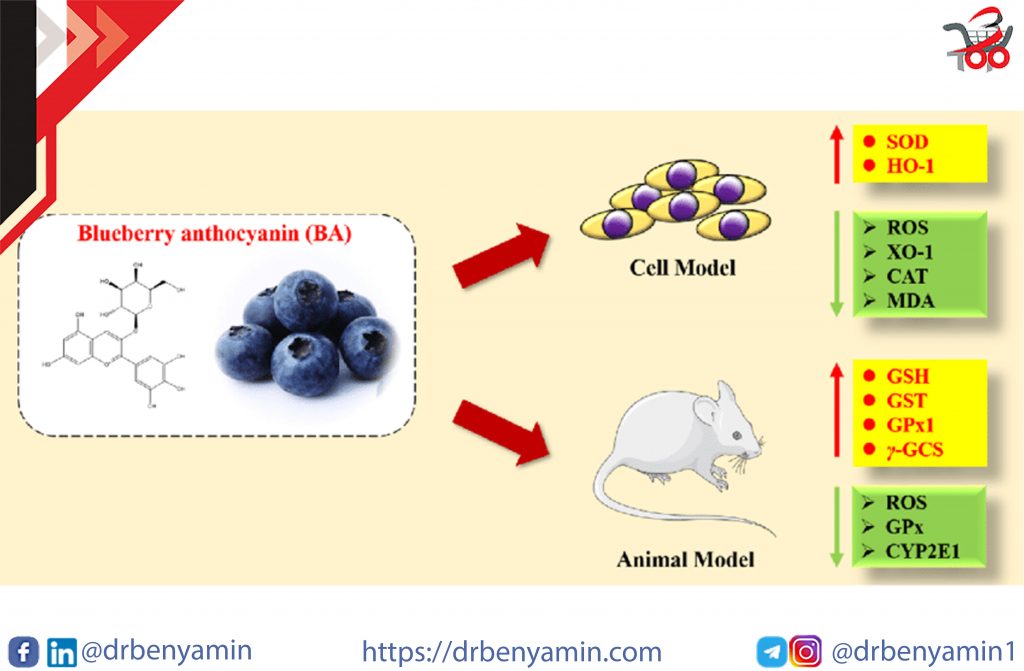 Antioxidant activity