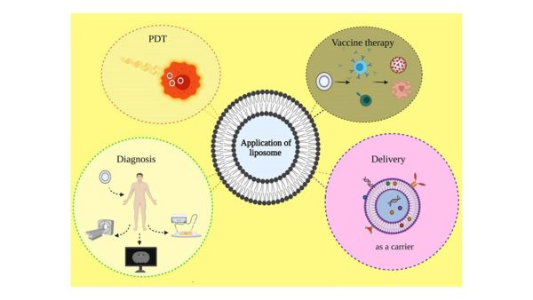 تخليق الجسيمات النانوية الشحمية / Liposome