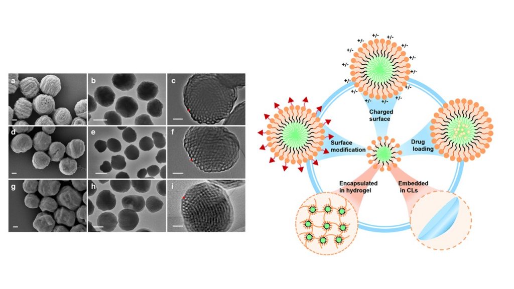 تخليق Nanomysel