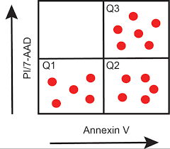 ارزیابی سلول های آپوپتوتیک و نکروتیک به روش رنگ آمیزی Annexin V-FITC/PI