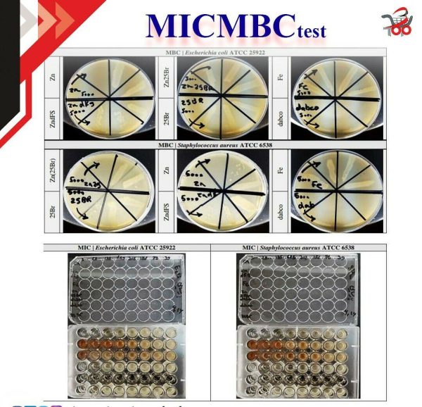 اختبار مضاد للبكتيريا لتحديد MIC و MBC